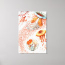 Pesquisar por ilustração impressão de canvas Ernst haeckel