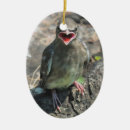 Pesquisar por cedros ornamentos Waxwing de cedro
