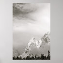 Pesquisar por paisagens preto e branco pôsteres Inverno