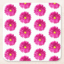 Pesquisar por margarida cor de rosa do gerbera convites Qualquer pessoa