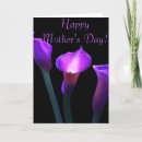 Pesquisar por lírio roxo cartoes Calla