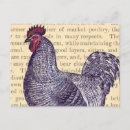 Pesquisar por galo vintage cartoes postais Antigo