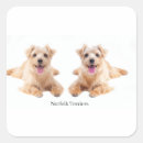 Pesquisar por norfolk adesivos Animal