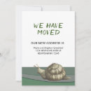 Pesquisar por movimento cartoes Verde