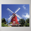 Pesquisar por aruba pósteres pôsteres Palmeira