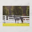 Pesquisar por stand cartoes postais Fazenda