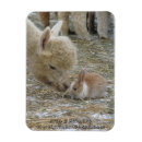 Pesquisar por coelho de pascoa cartoes Bebê