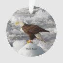 Pesquisar por de águia ornamentos Pássaro