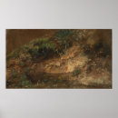 Pesquisar por undergrowth Paisagem