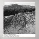 Pesquisar por ansel adams fotografia Deserto