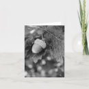 Pesquisar por de bolota cartoes Árvore