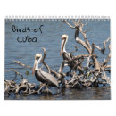 Pesquisar por colibri calendarios Birding