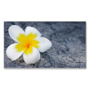Pesquisar por do plumeria cartao de visita Floral