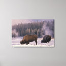 Pesquisar por wolf impressão de canvas Animal
