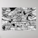 Pesquisar por rachaduras pôsteres Textura