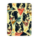Pesquisar por border collie imas Collie de fronteira