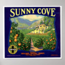 Pesquisar por brand pósteres pôsteres Qualquer pessoa