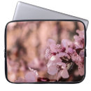 Pesquisar por macro fotografia Rosa