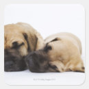 Pesquisar por great dane adesivos Animais domésticos