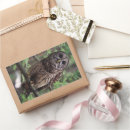 Pesquisar por owls adesivos Vida selvagem