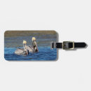 Pesquisar por pelicano bagagem tags Animal