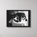Pesquisar por gato branco impressão de canvas Animal
