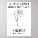 Pesquisar por dezembro pósteres pôsteres Flor de nascimento