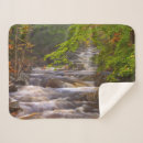 Pesquisar por trilha mantas Floresta