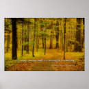 Pesquisar por henry david thoreau pôsteres Floresta