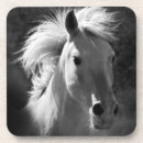 Pesquisar por retratos porta copos Animais