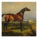 Pesquisar por cavalo vintage pôsteres Francês