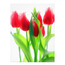 Pesquisar por vermelho da tulipa pósteres pôsteres Branco