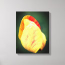 Pesquisar por tulipa amarela impressão de canvas For her