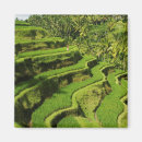 Pesquisar por bali imas Natureza