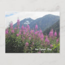 Pesquisar por ancoragem alaska cartoes postais Natureza