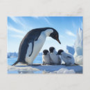 Pesquisar por pinguim do bebê cartoes postais Fofofo