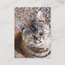 Pesquisar por gato grande cartao de visita Aquarela