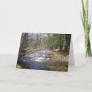 Pesquisar por evergreens cartoes Floresta