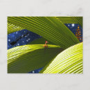 Pesquisar por lizard cartoes postais Tropical