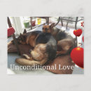 Pesquisar por amor incondicional cartoes postais Cão