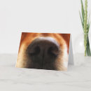 Pesquisar por dog dad cartoes postais Father