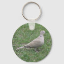 Pesquisar por pombas chaveiros Foto