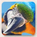 Pesquisar por macaw porta copos Arara