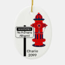 Pesquisar por ornamento do fogo ornamentos Natal