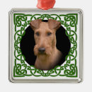 Pesquisar por irlandês ornamentos Feriado