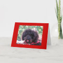 Pesquisar por língua cartoes Vermelho