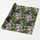 Pesquisar por trombeta papel de presente Flores