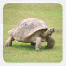 Pesquisar por solidão adesivos Animal