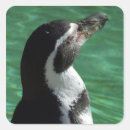 Pesquisar por etiquetas do pinguim adesivos Jardim zoológico