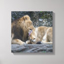 Pesquisar por leoa impressão de canvas Animais